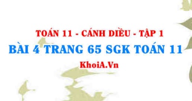 Bài 4 trang 65 SGK Toán 11 tập 1 Cánh Diều